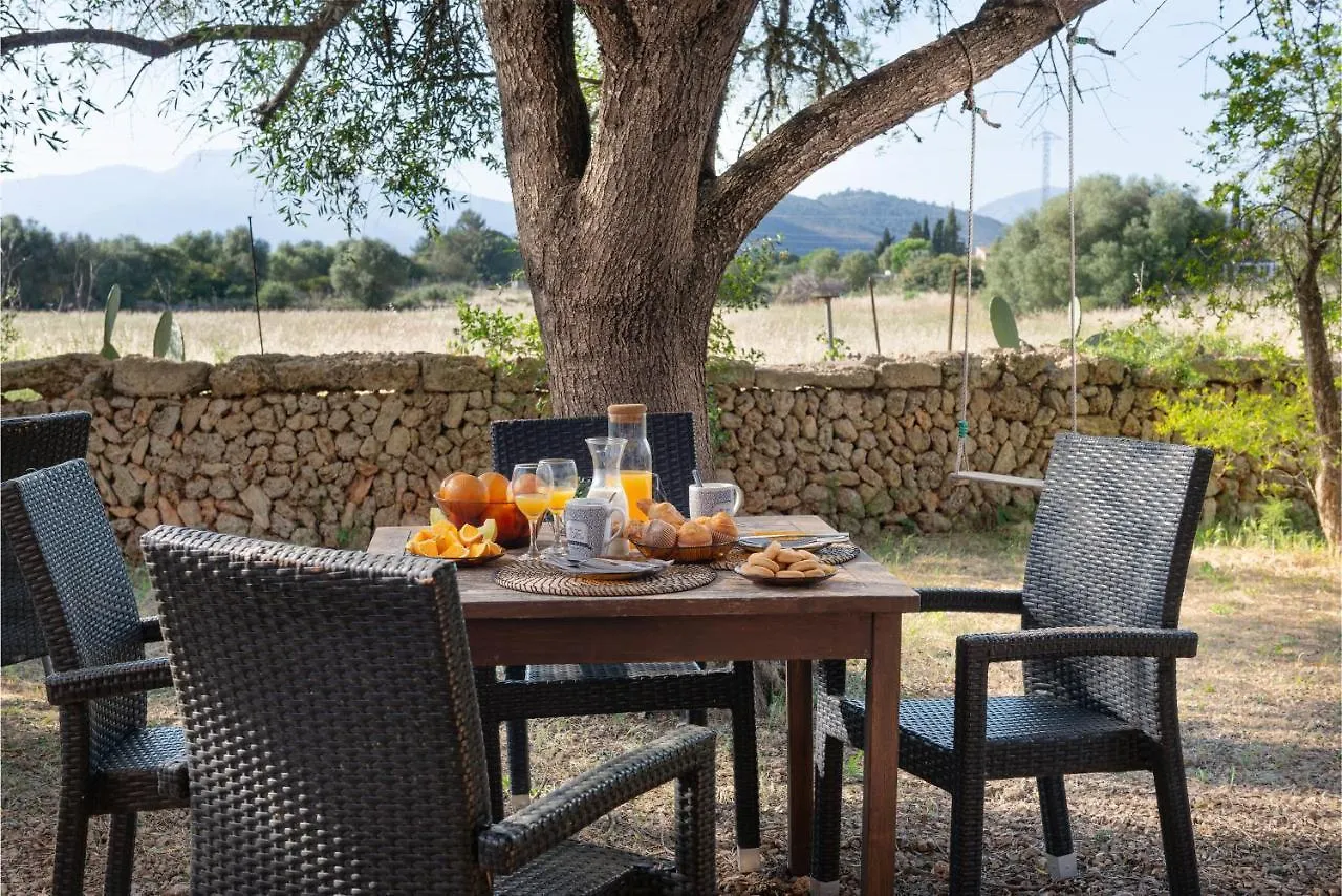 Sunset Private Eco-Villa Can Vey Inca  Spain